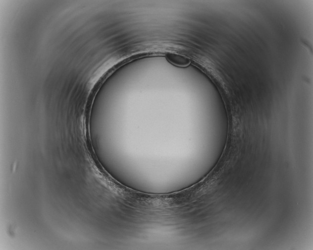 X0000100980936200807081240