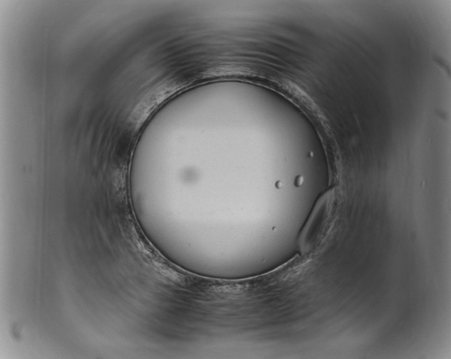 X0000100980937200807081240