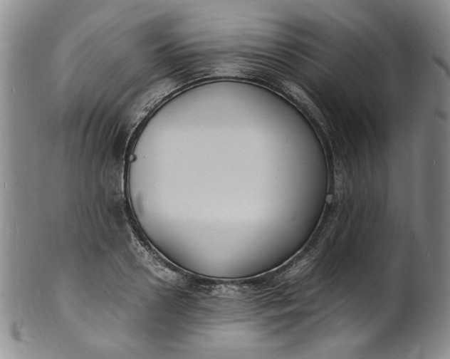 X0000100980938200807081240