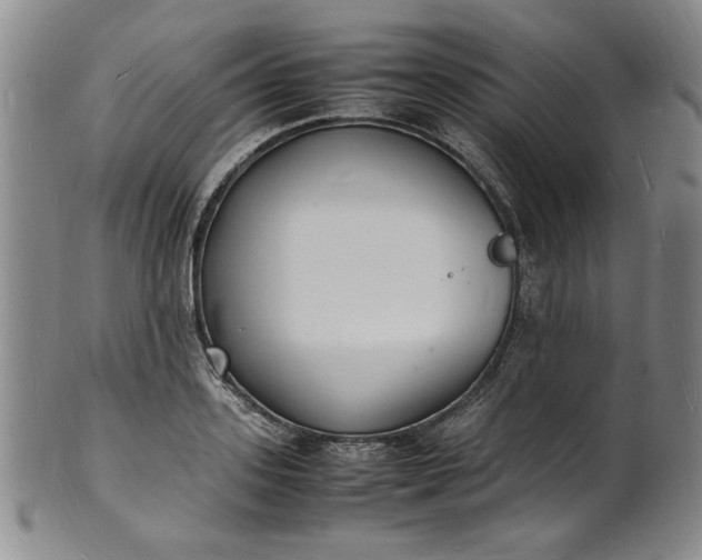 X0000100980939200807081240