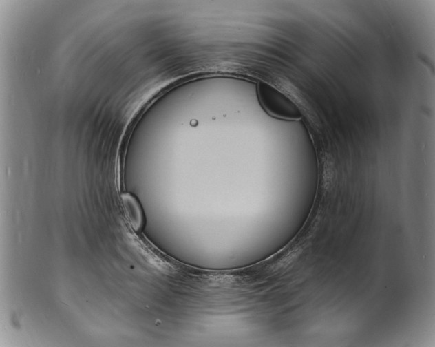 X0000100980940200807081240