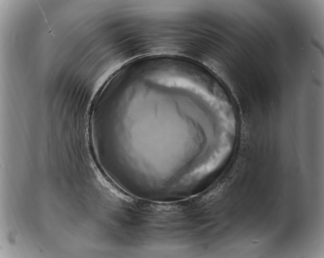 X0000100980941200807081240