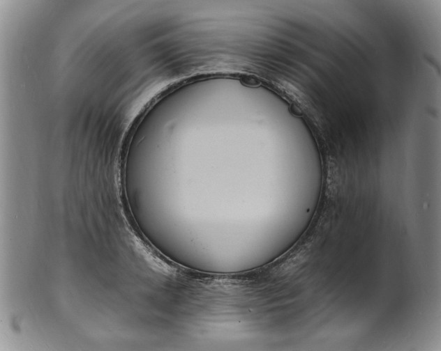 X0000100980942200807081240