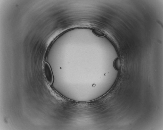 X0000100980944200807081240