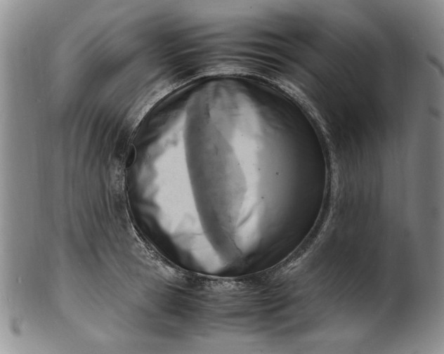 X0000100980945200807081240