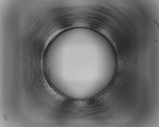 X0000100980947200807081240