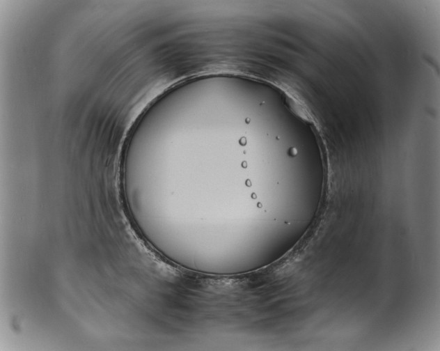 X0000100980949200807081240