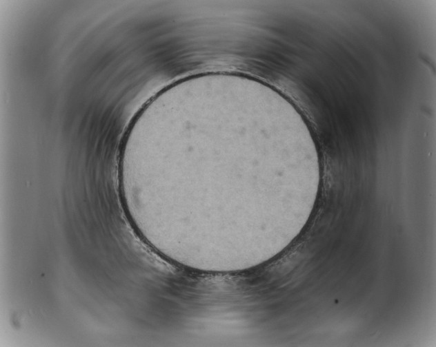 X0000100980950200807081240