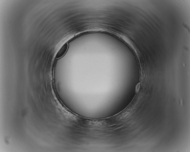 X0000100980951200807081240