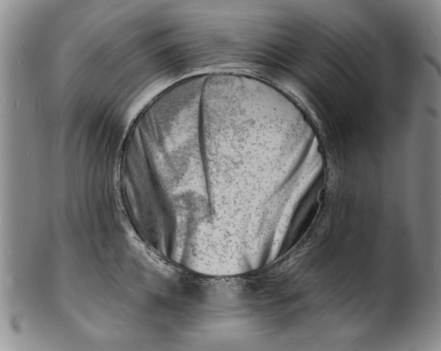 X0000100980952200807081240