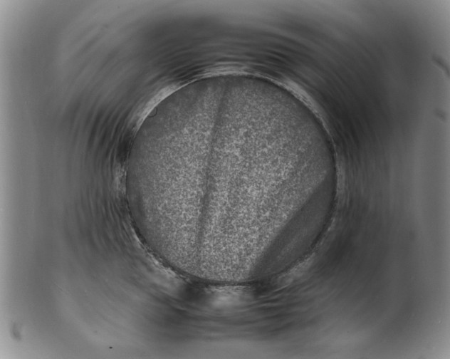 X0000100980953200807081240