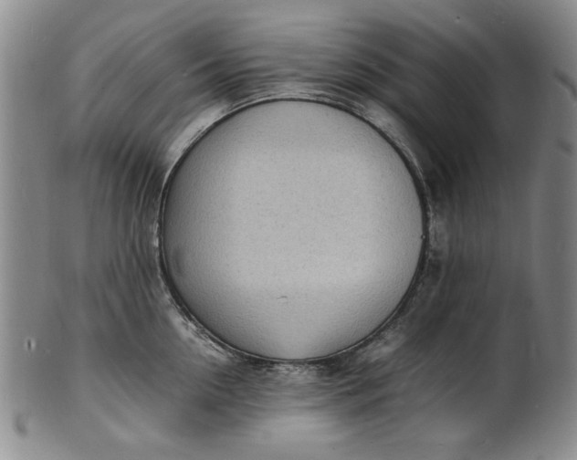 X0000100980954200807081240