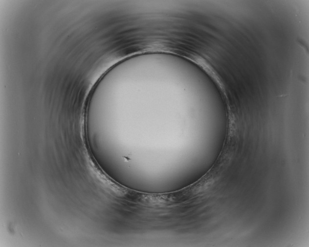 X0000100980955200807081240