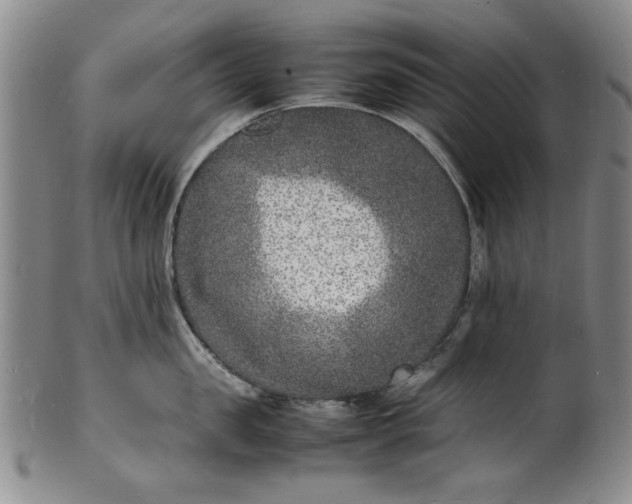 X0000100980957200807081240