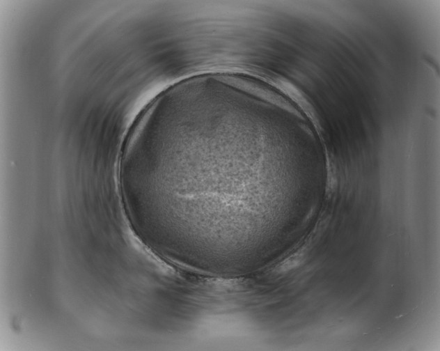 X0000100980958200807081240