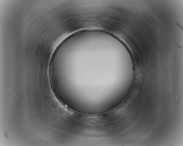 X0000100980959200807081240