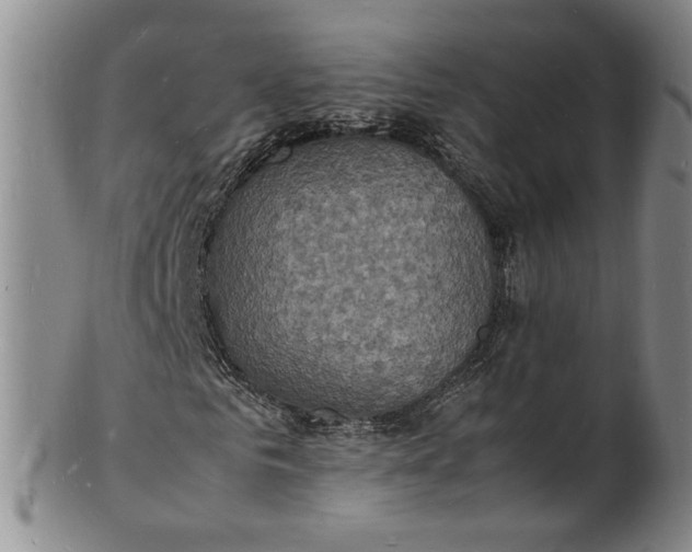 X0000100980961200807081240