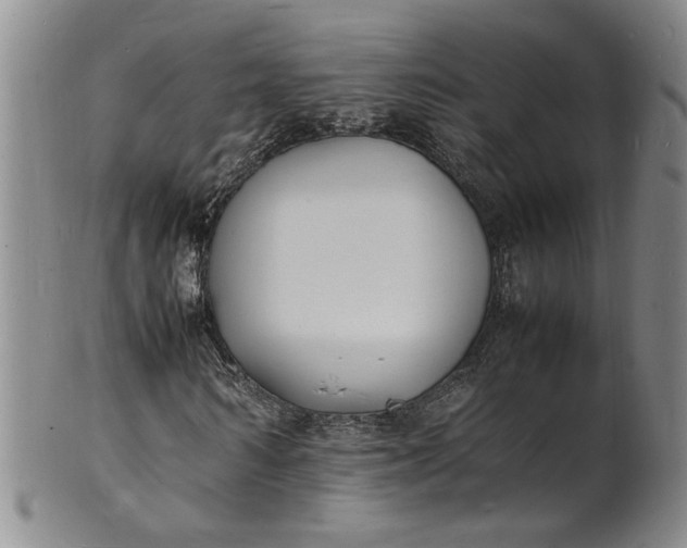 X0000100980962200807081240