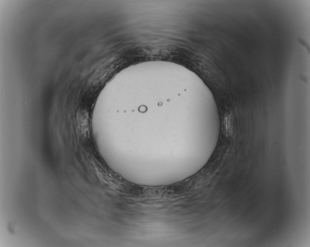 X0000100980963200807081240