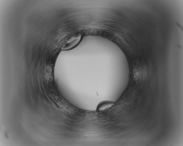 X0000100980964200807081240