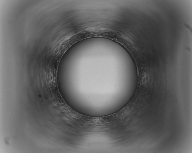 X0000100980966200807081239