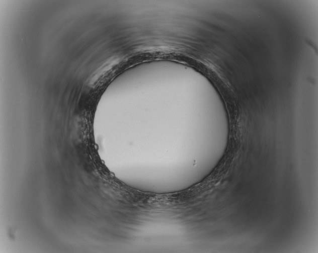 X0000100980967200807081239