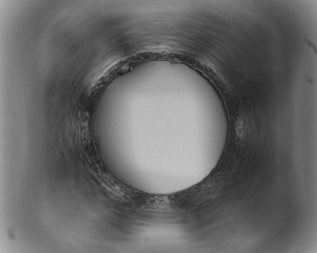 X0000100980968200807081239