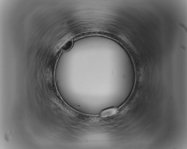 X0000100980969200807081239