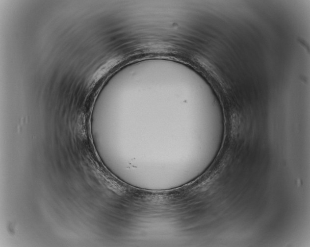 X0000100980970200807081239