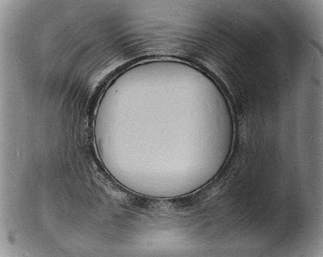 X0000100980971200807081239