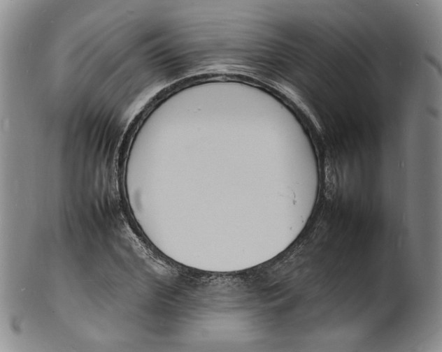 X0000100980972200807081239