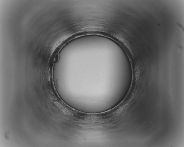 X0000100980973200807081239