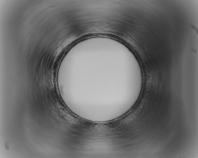 X0000100980974200807081239