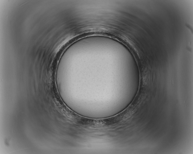 X0000100980975200807081239