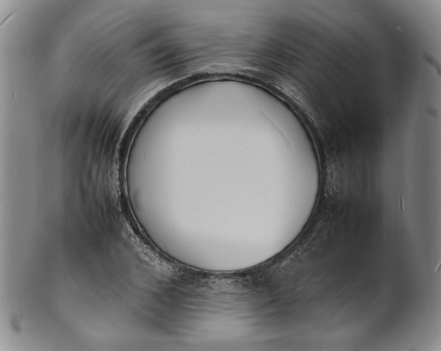 X0000100980976200807081239