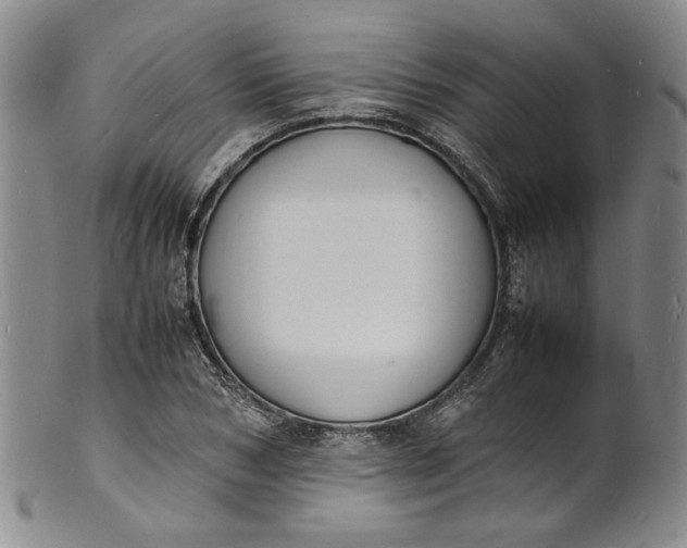 X0000100980978200807081239