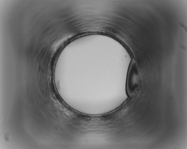 X0000100980979200807081239