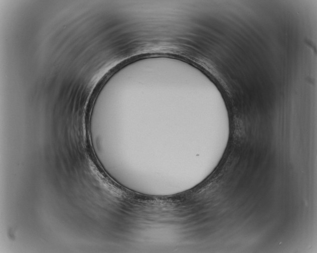 X0000100980980200807081239