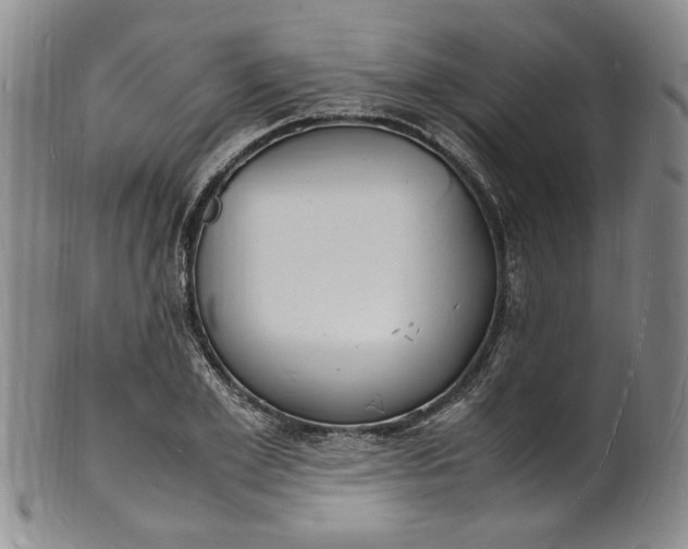 X0000100980981200807081239