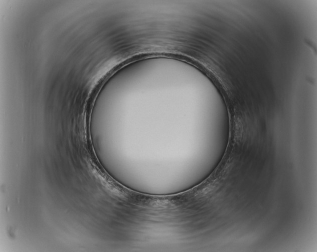 X0000100980982200807081239