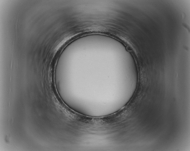 X0000100980983200807081239