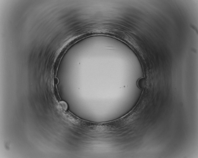 X0000100980984200807081239