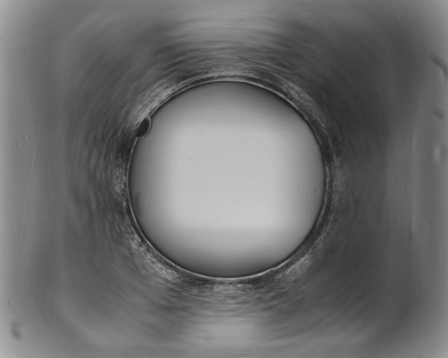 X0000100980985200807081239