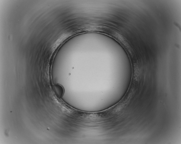 X0000100980986200807081239