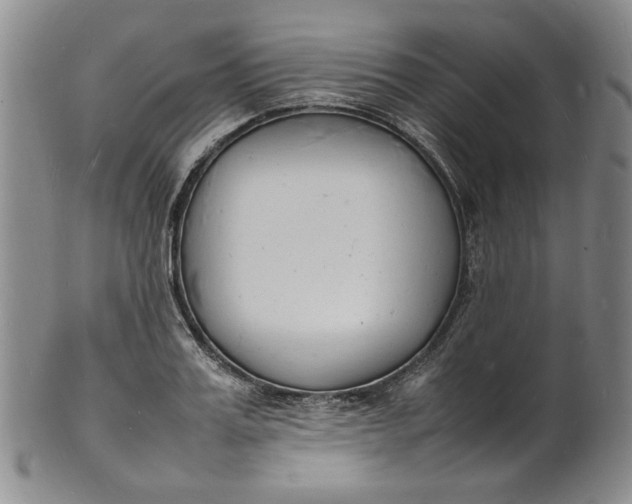 X0000100980987200807081239