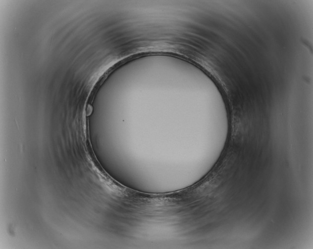 X0000100980988200807081239