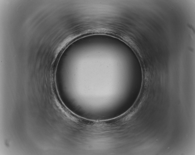 X0000100980989200807081239