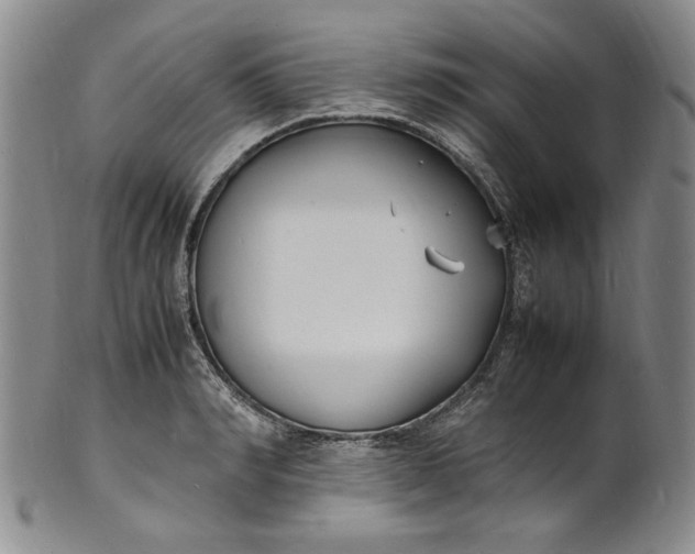 X0000100980990200807081239