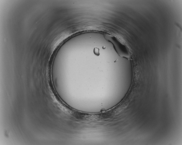 X0000100980991200807081239