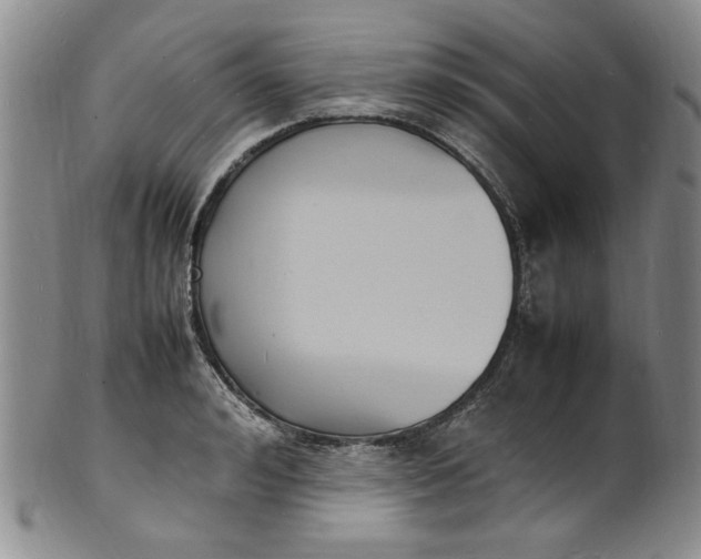 X0000100980992200807081239